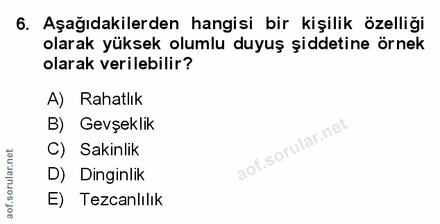 Soru 6