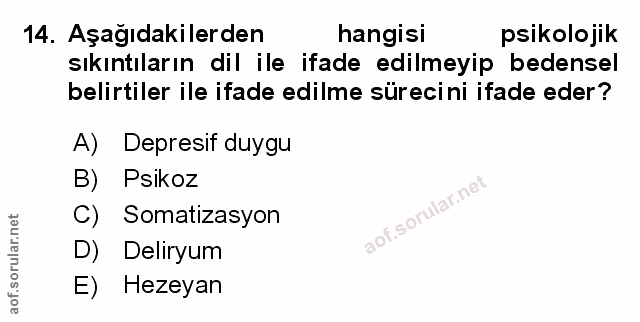 Soru 14