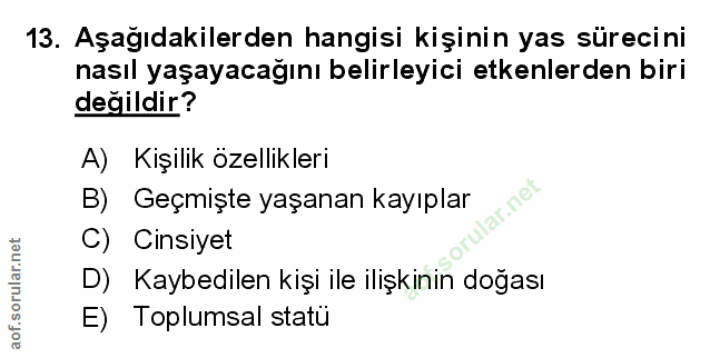Soru 13