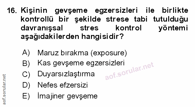 Soru 16