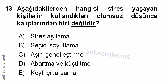 Soru 13