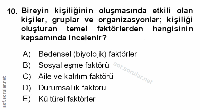 Soru 10