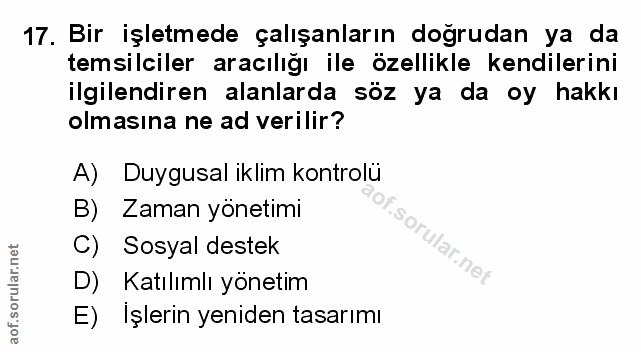 Soru 17
