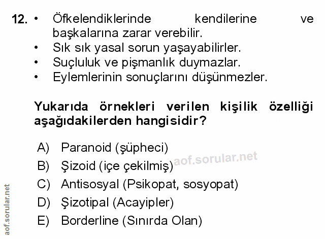 Soru 12