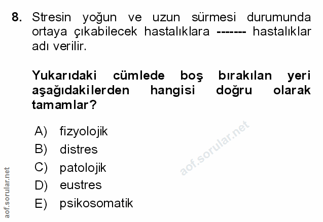 Soru 8