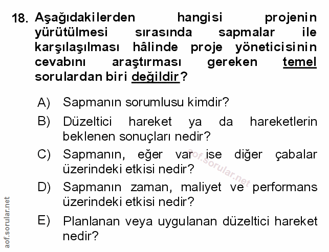 Soru 18