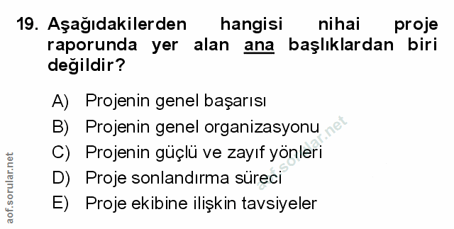 Soru 19