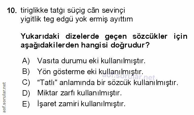 Soru 10