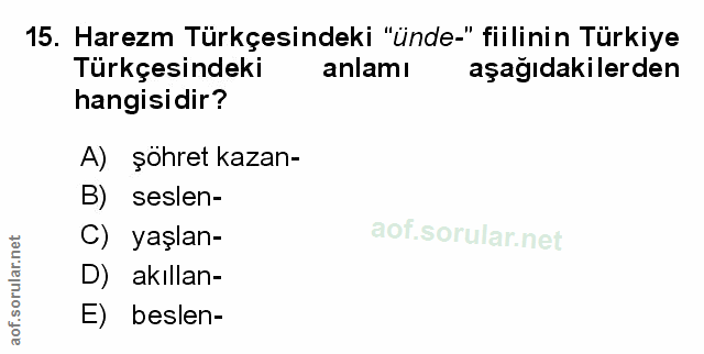 Soru 15