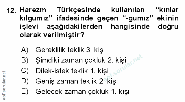 Soru 12