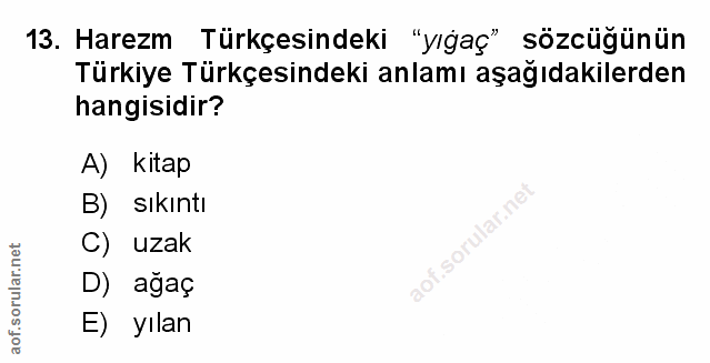 Soru 13