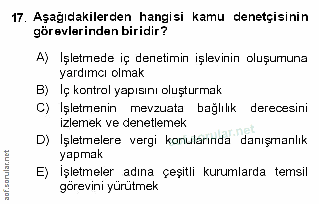 Soru 17