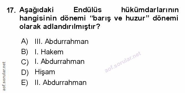 Soru 17