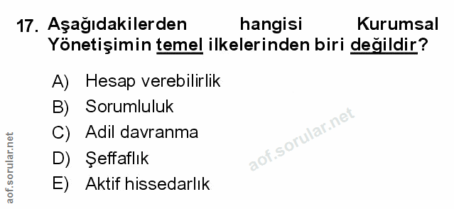 Soru 17