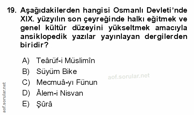 Soru 19
