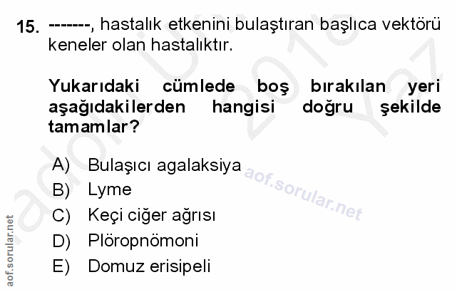Soru 15