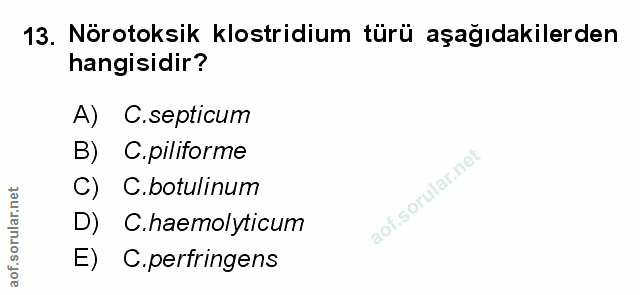 Soru 13