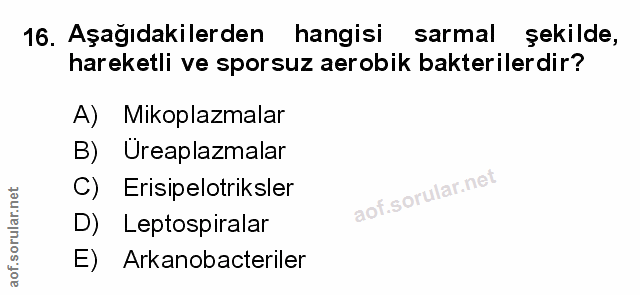 Soru 16