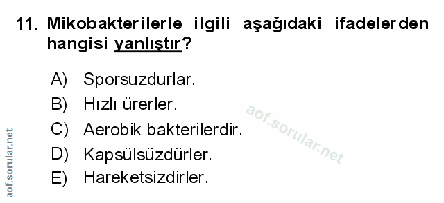 Soru 11