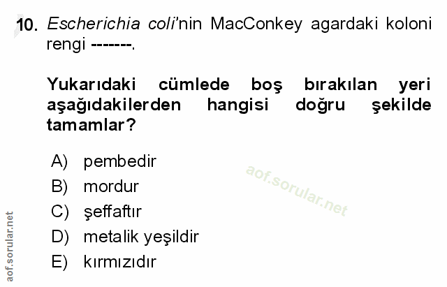 Soru 10