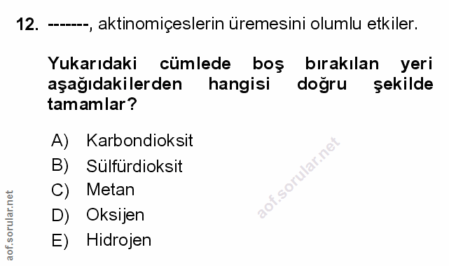 Soru 12
