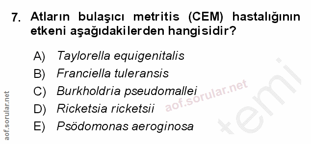 Soru 7