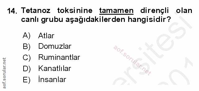 Soru 14