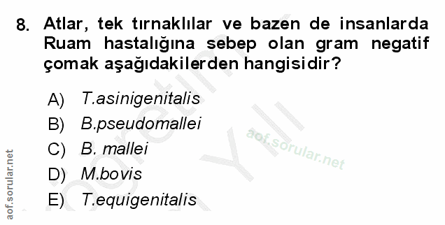 Soru 8