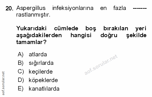 Soru 20