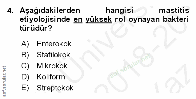 Soru 4