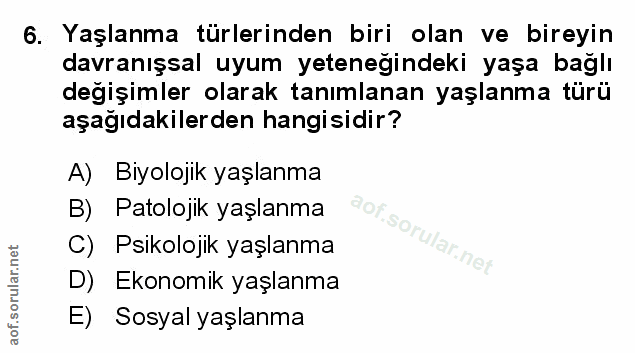 Soru 6