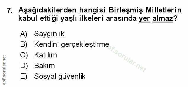 Soru 7
