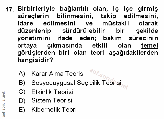 Soru 17