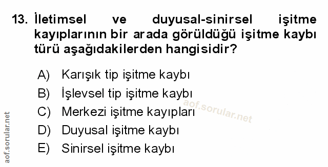 Soru 13