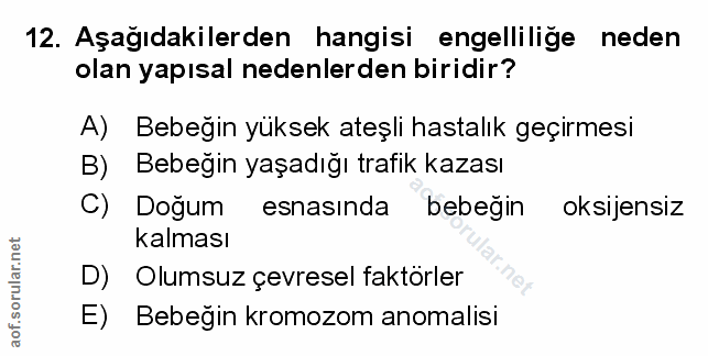 Soru 12