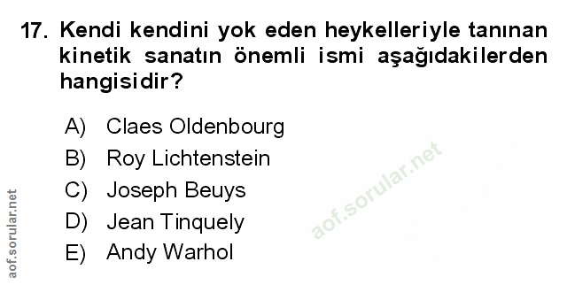 Soru 17