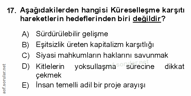 Soru 17