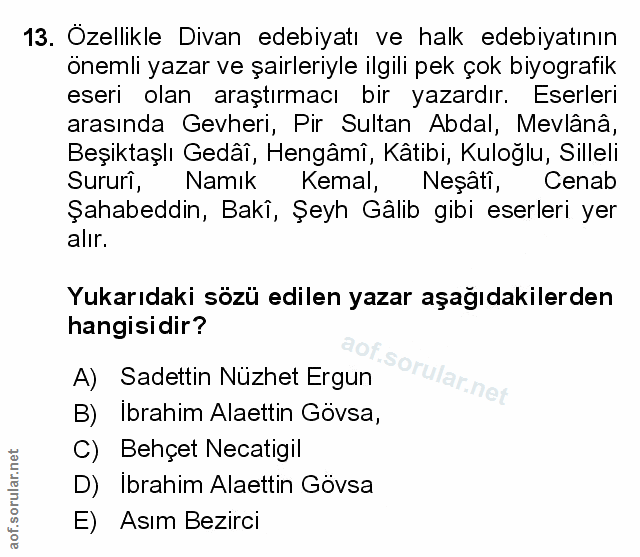 Soru 13