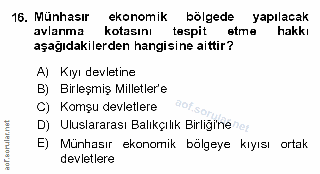 Soru 16