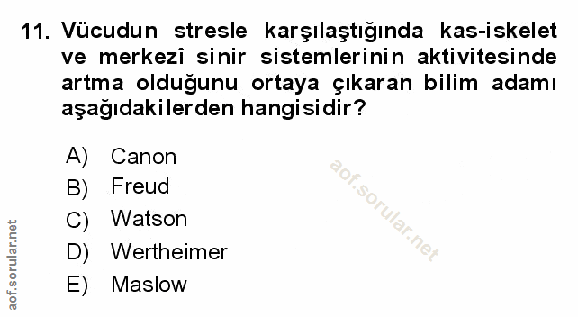 Soru 11