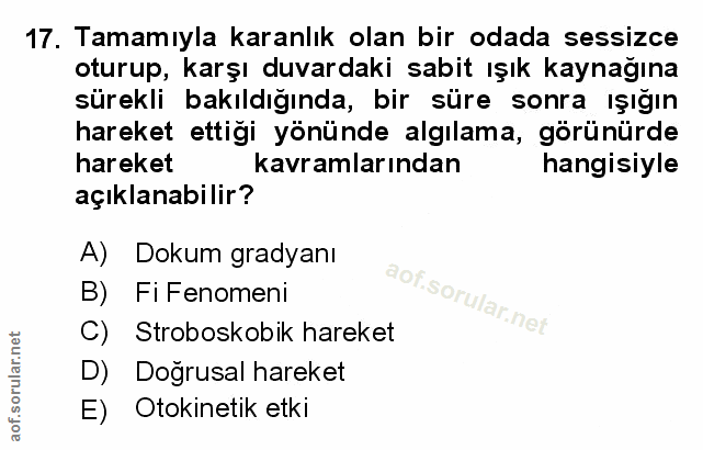 Soru 17