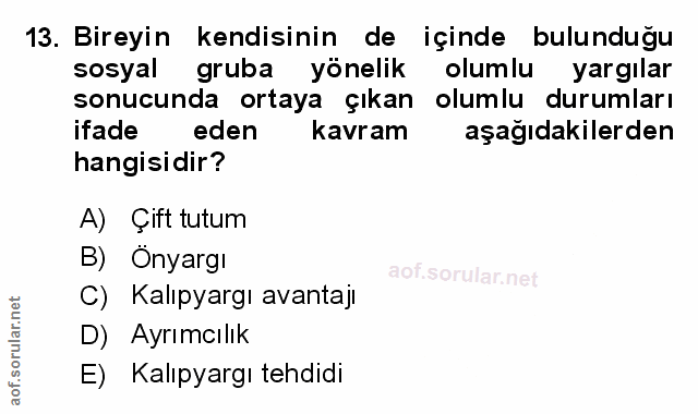 Soru 13