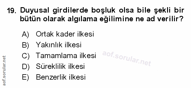 Soru 19