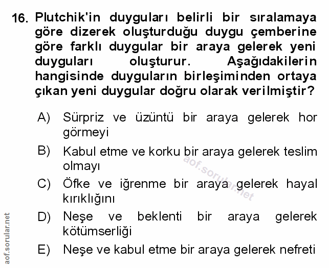 Soru 16
