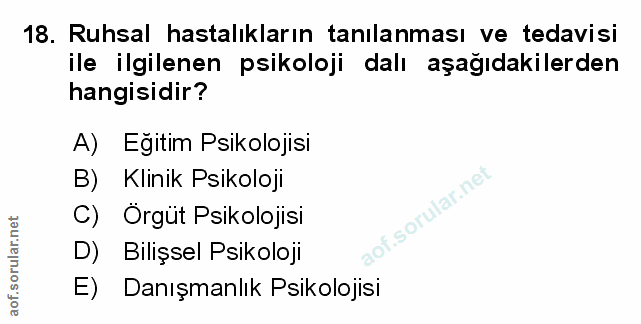 Soru 18