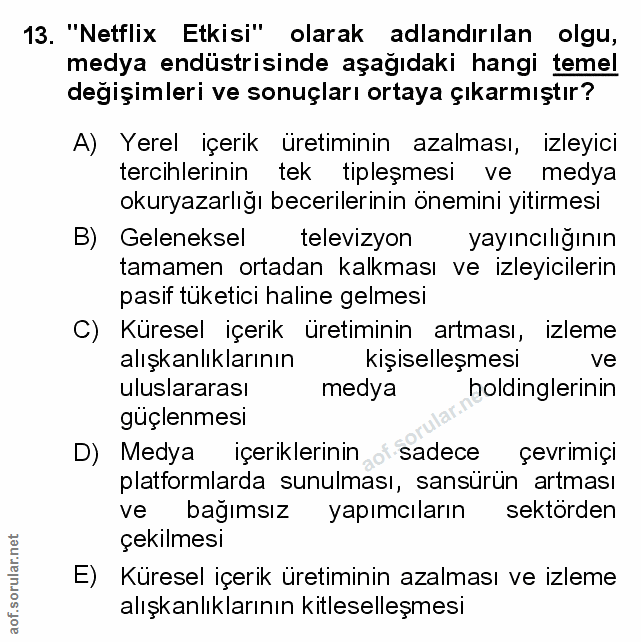 Soru 13