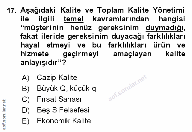 Soru 17