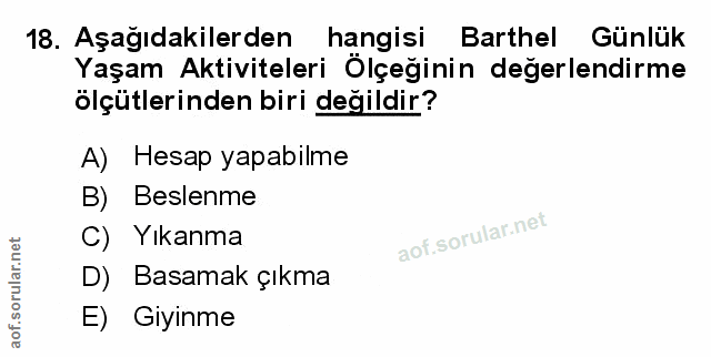 Soru 18