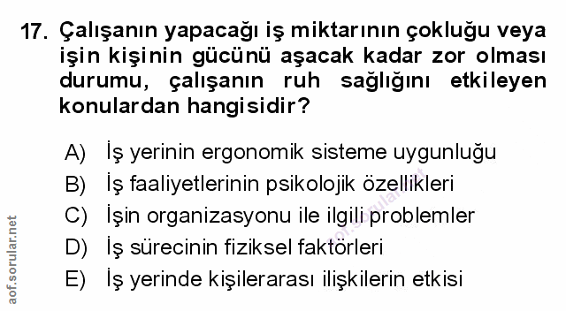 Soru 17
