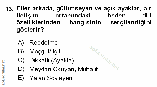Soru 13